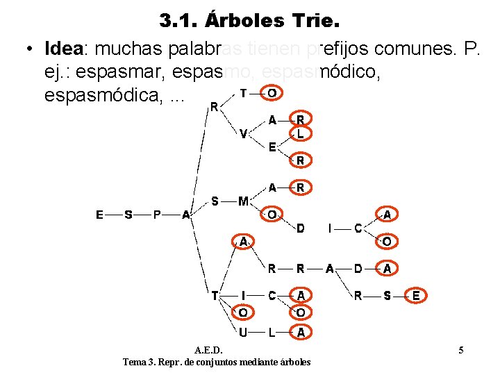 3. 1. Árboles Trie. • Idea: muchas palabras tienen prefijos comunes. P. ej. :