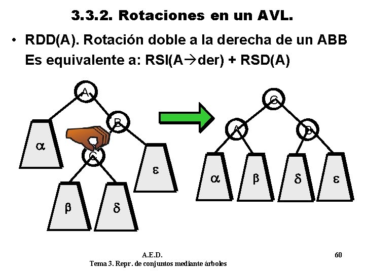 3. 3. 2. Rotaciones en un AVL. • RDD(A). Rotación doble a la derecha