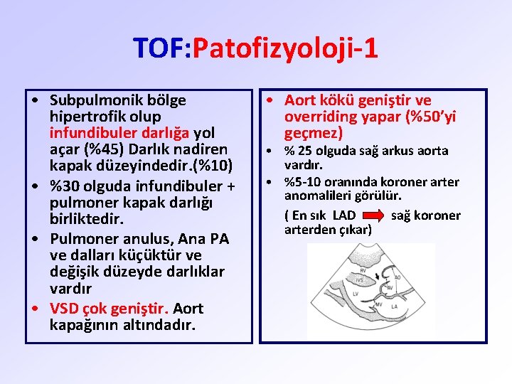 TOF: Patofizyoloji-1 • Subpulmonik bölge hipertrofik olup infundibuler darlığa yol açar (%45) Darlık nadiren