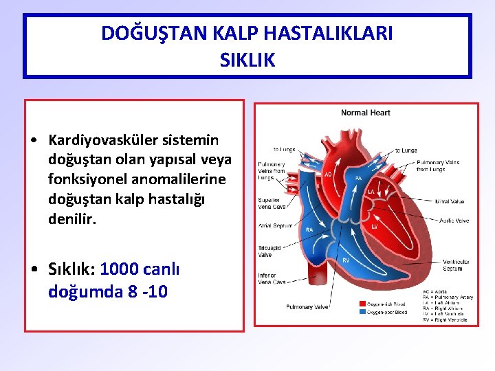 DOĞUŞTAN KALP HASTALIKLARI SIKLIK • Kardiyovasküler sistemin doğuştan olan yapısal veya fonksiyonel anomalilerine doğuştan