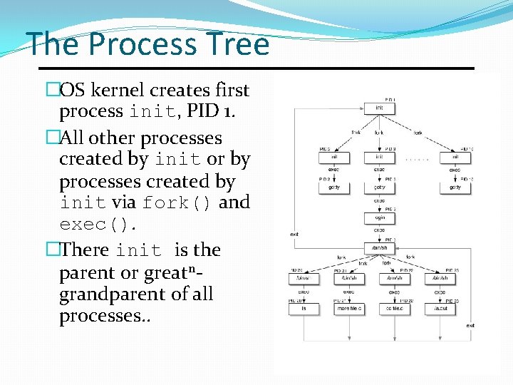 The Process Tree �OS kernel creates first process init, PID 1. �All other processes