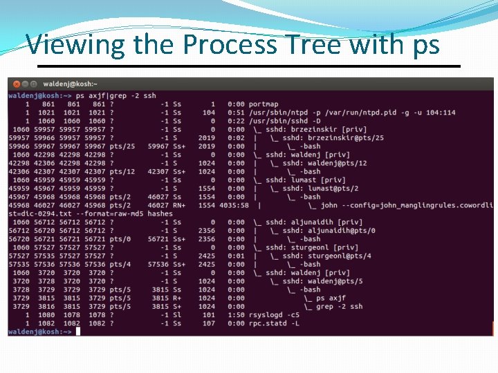 Viewing the Process Tree with ps 