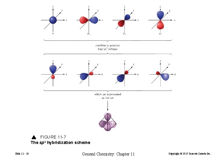 FIGURE 11 -7 The sp 3 hybridization scheme Slide 11 - 10 General Chemistry: