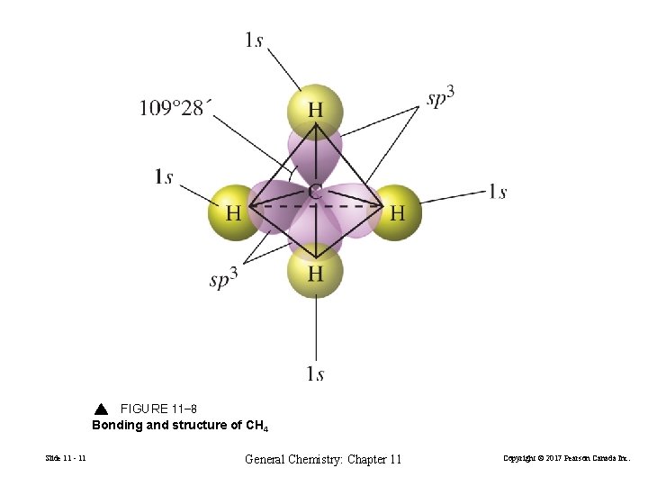 FIGURE 11 -8 Bonding and structure of CH 4 Slide 11 - 11 General