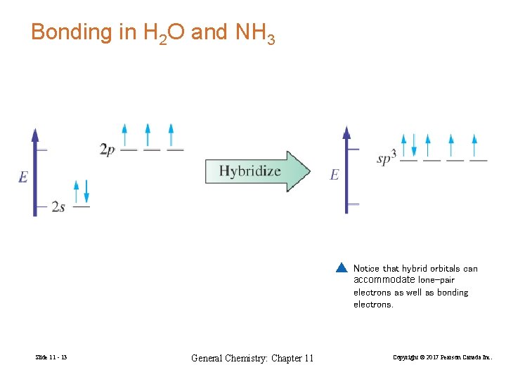 Bonding in H 2 O and NH 3 Notice that hybrid orbitals can accommodate