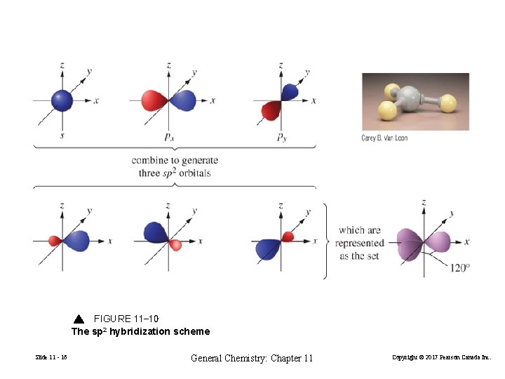 FIGURE 11 -10 The sp 2 hybridization scheme Slide 11 - 16 General Chemistry: