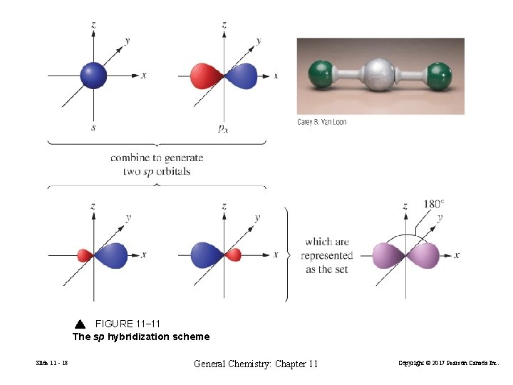 FIGURE 11 -11 The sp hybridization scheme Slide 11 - 18 General Chemistry: Chapter