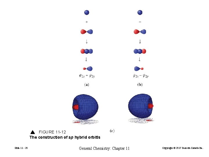 FIGURE 11 -12 The construction of sp hybrid orbitls Slide 11 - 20 General