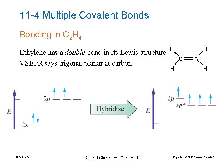 11 -4 Multiple Covalent Bonds Bonding in C 2 H 4 Ethylene has a