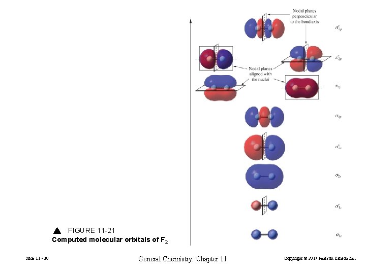FIGURE 11 -21 Computed molecular orbitals of F 2 Slide 11 - 30 General