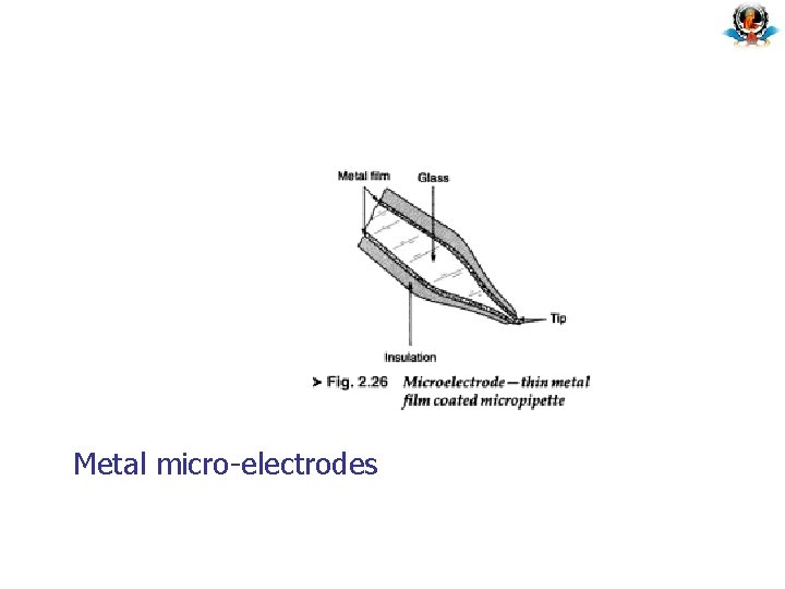 Metal micro-electrodes Metal micro-electrodes