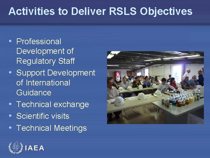 Activities to Deliver RSLS Objectives • Professional • • Development of Regulatory Staff Support