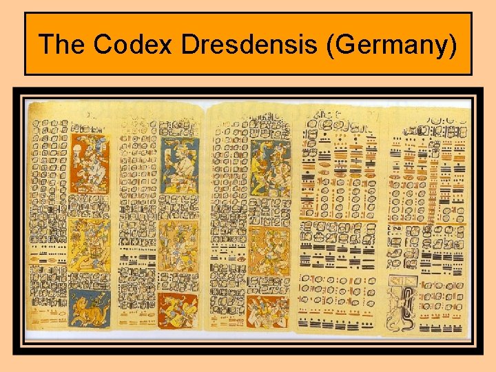The Codex Dresdensis (Germany) 