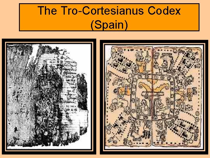The Tro-Cortesianus Codex (Spain) 