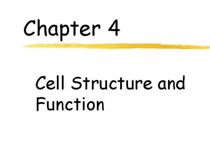 Chapter 4 Cell Structure and Function 