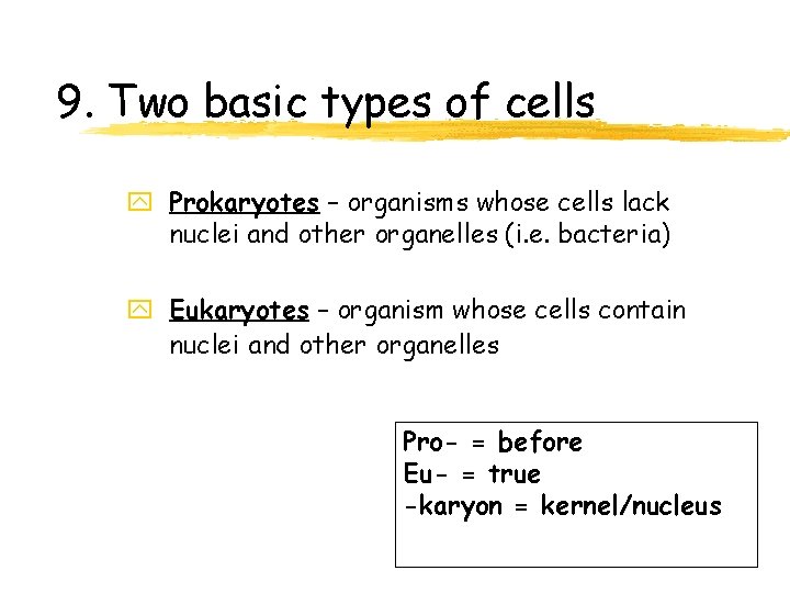 9. Two basic types of cells y Prokaryotes – organisms whose cells lack nuclei