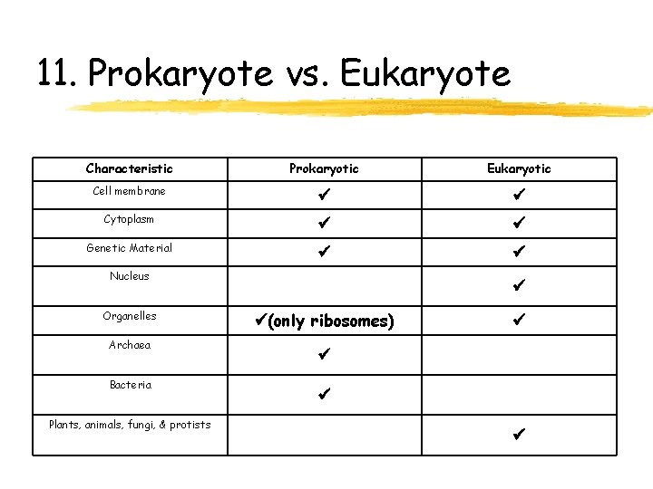 11. Prokaryote vs. Eukaryote Characteristic Prokaryotic Eukaryotic Cell membrane Cytoplasm Genetic Material Nucleus Organelles