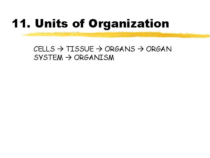 11. Units of Organization CELLS TISSUE ORGANS ORGAN SYSTEM ORGANISM 