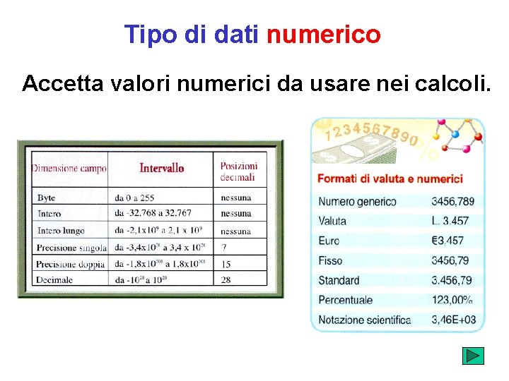 Tipo di dati numerico Accetta valori numerici da usare nei calcoli. 