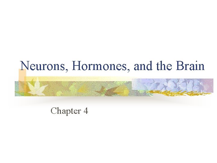 Neurons, Hormones, and the Brain Chapter 4 