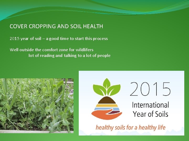 COVER CROPPING AND SOIL HEALTH 2015 year of soil – a good time to