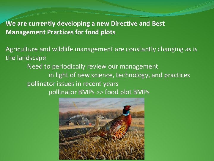 We are currently developing a new Directive and Best Management Practices for food plots