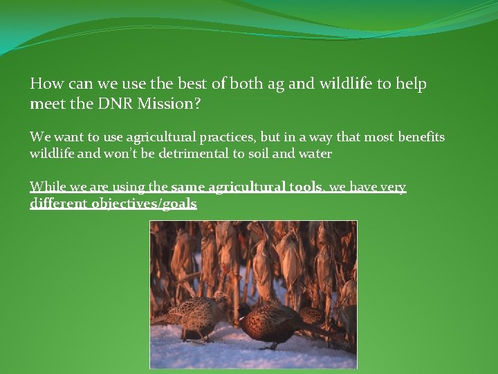 How can we use the best of both ag and wildlife to help meet