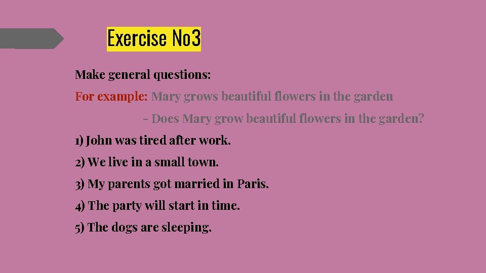 Exercise № 3 Make general questions: For example: Mary grows beautiful flowers in the