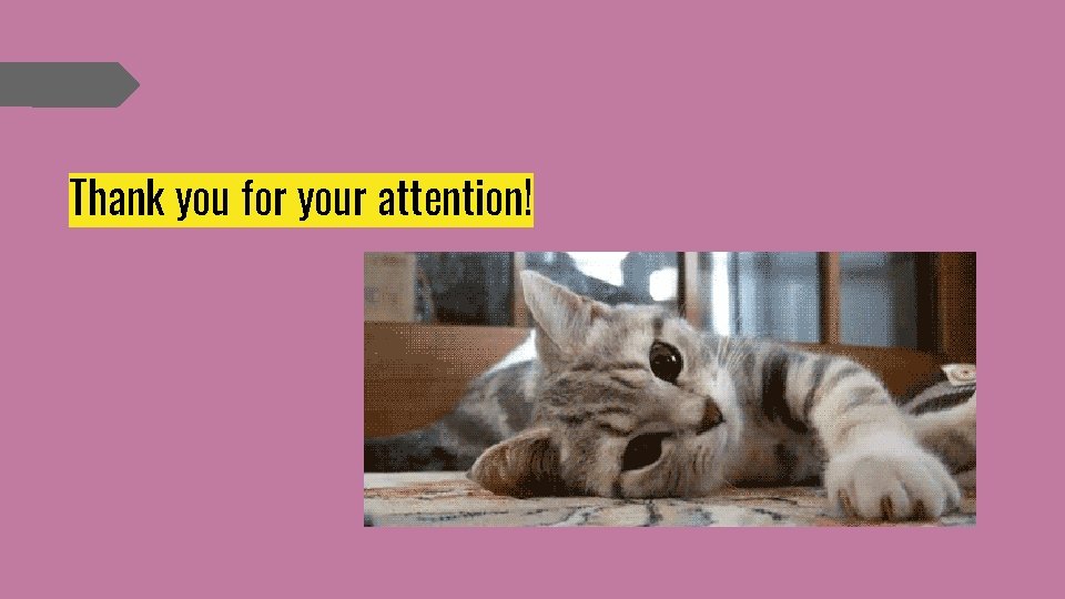 Thank you for your attention! 