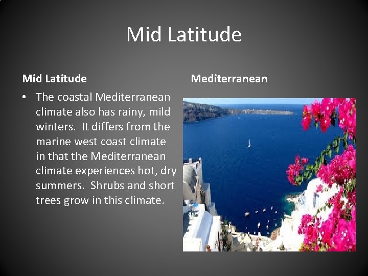 Mid Latitude • The coastal Mediterranean climate also has rainy, mild winters. It differs