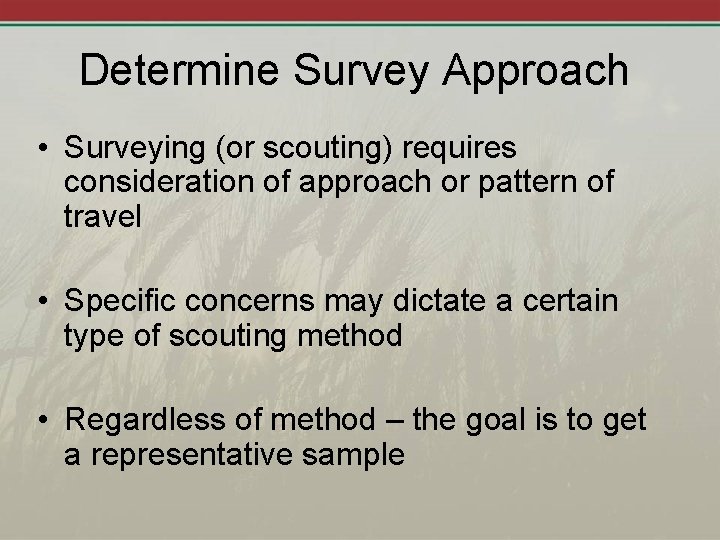 Determine Survey Approach • Surveying (or scouting) requires consideration of approach or pattern of