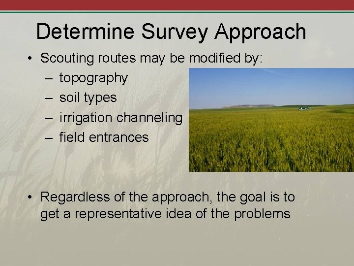Determine Survey Approach • Scouting routes may be modified by: – topography – soil