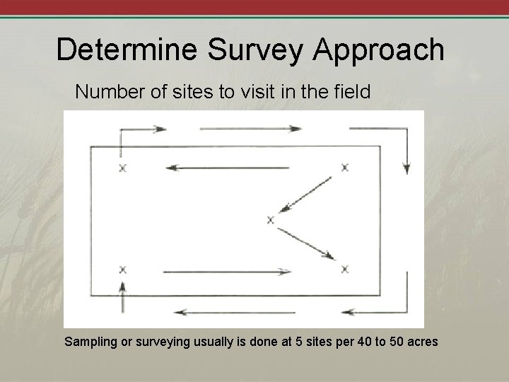 Determine Survey Approach Number of sites to visit in the field Sampling or surveying