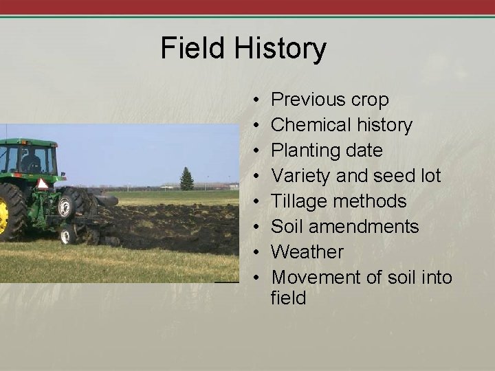 Field History • • Previous crop Chemical history Planting date Variety and seed lot