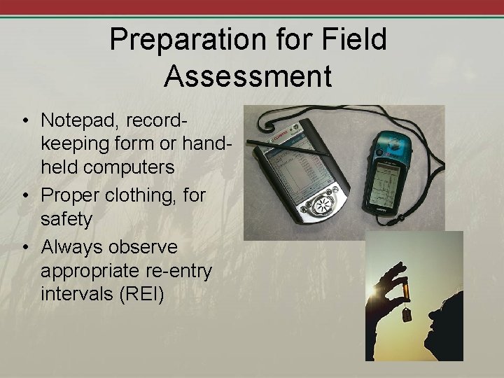 Preparation for Field Assessment • Notepad, recordkeeping form or handheld computers • Proper clothing,