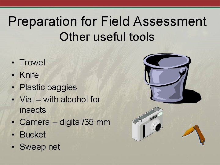 Preparation for Field Assessment Other useful tools • • Trowel Knife Plastic baggies Vial