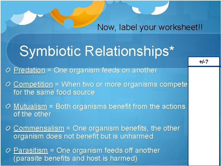 Now, label your worksheet!! Symbiotic Relationships* Predation = One organism feeds on another Competition