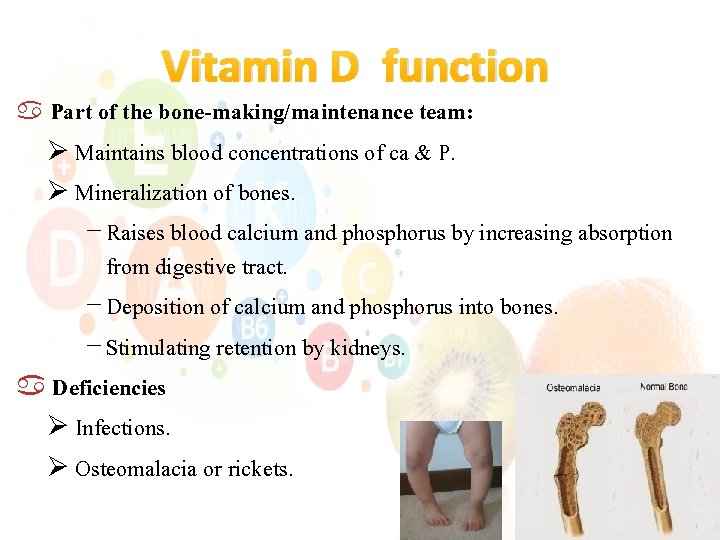 Vitamin D function Part of the bone-making/maintenance team: Ø Maintains blood concentrations of ca