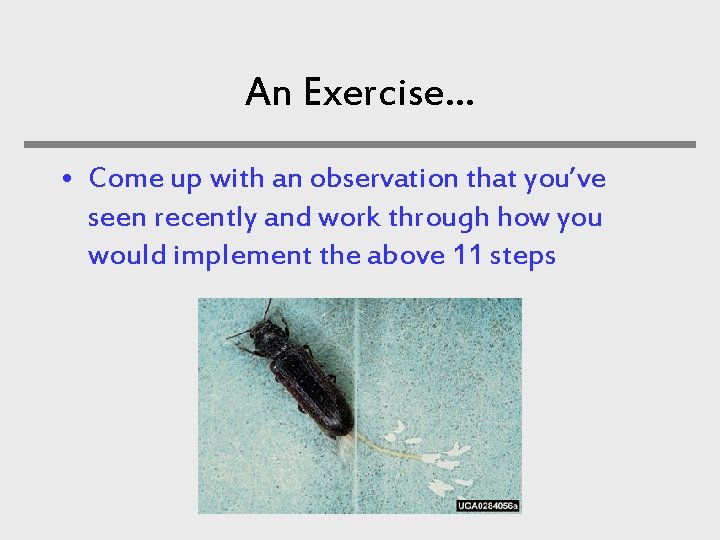 An Exercise… • Come up with an observation that you’ve seen recently and work