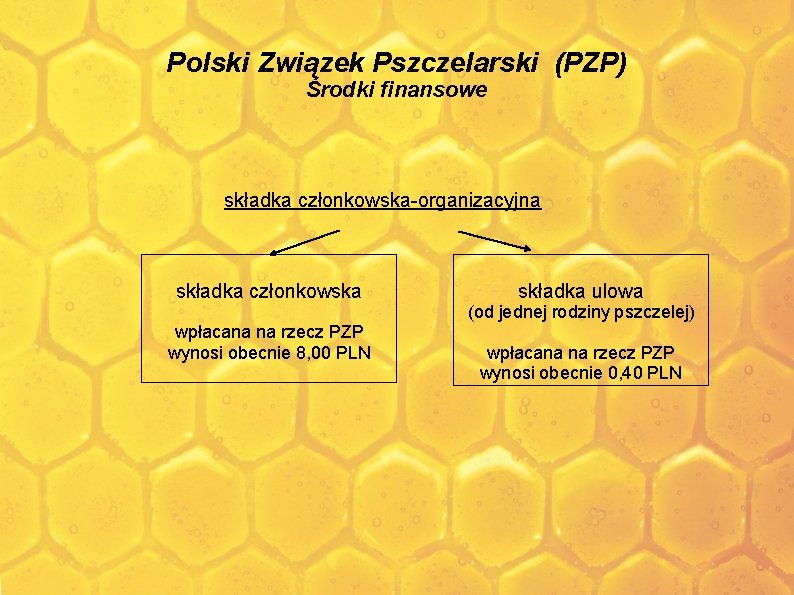 Polski Związek Pszczelarski (PZP) Środki finansowe składka członkowska-organizacyjna składka członkowska składka ulowa (od jednej