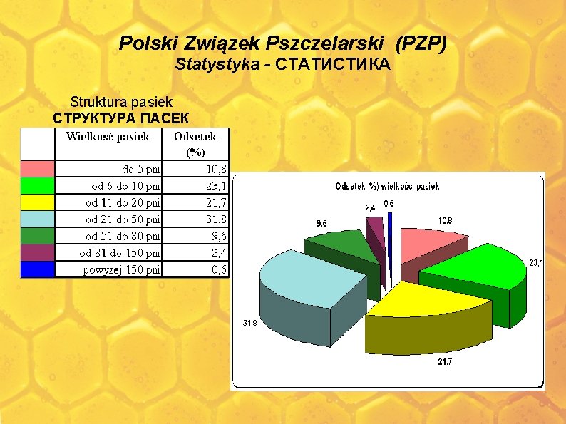Polski Związek Pszczelarski (PZP) Statystyka - СТАТИСТИКА Struktura pasiek СТРУКТУРА ПАСЕК 