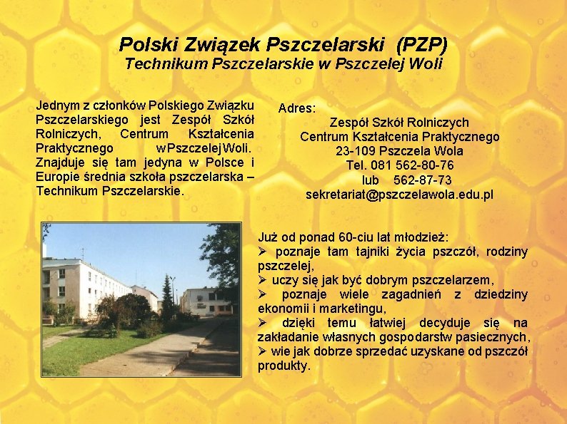 Polski Związek Pszczelarski (PZP) Technikum Pszczelarskie w Pszczelej Woli Jednym z członków Polskiego Związku