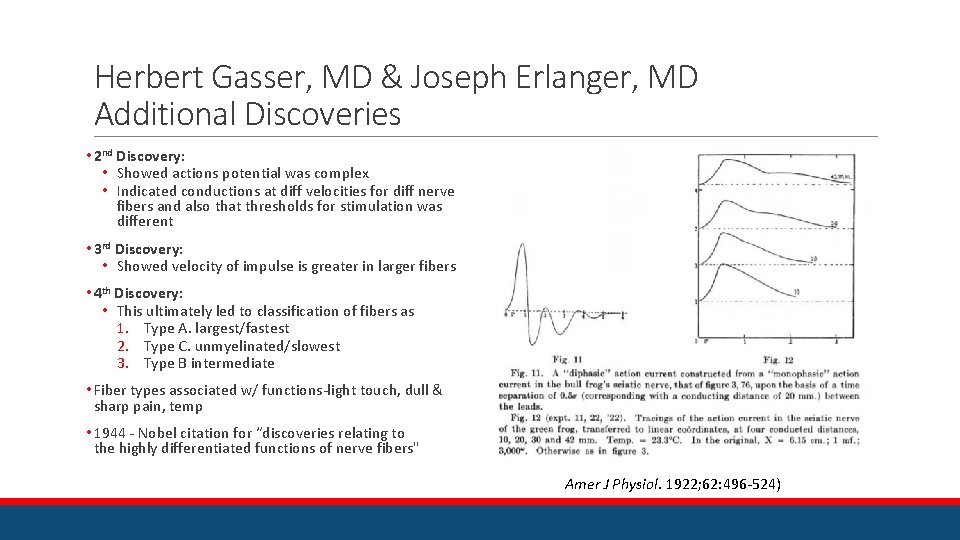 Herbert Gasser, MD & Joseph Erlanger, MD Additional Discoveries • 2 nd Discovery: •