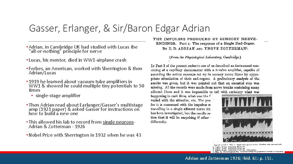 Gasser, Erlanger, & Sir/Baron Edgar Adrian • Adrian, in Cambridge UK had studied with