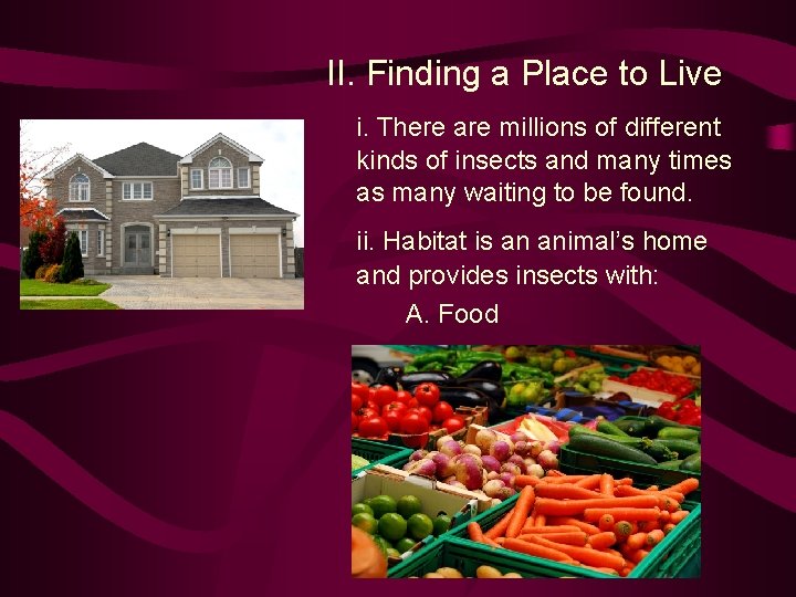 II. Finding a Place to Live i. There are millions of different kinds of