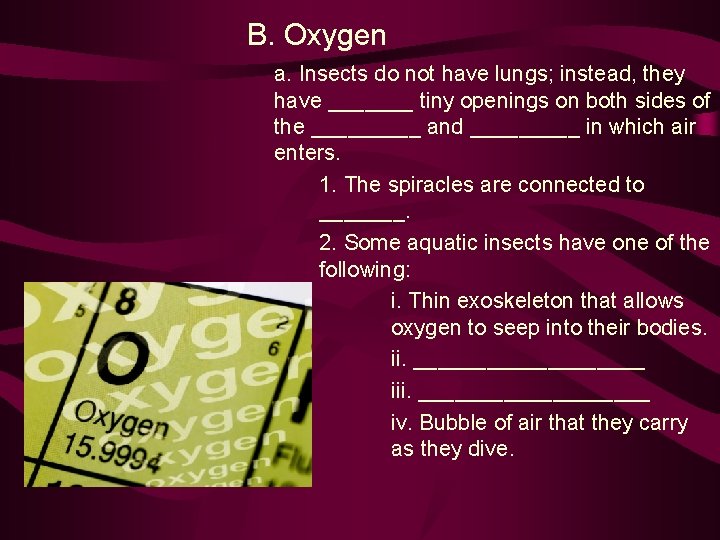 B. Oxygen a. Insects do not have lungs; instead, they have _______ tiny openings