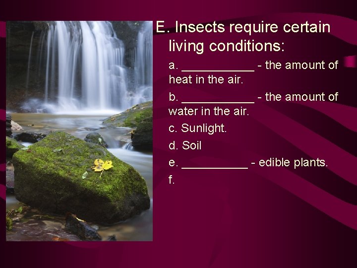 E. Insects require certain living conditions: a. ______ - the amount of heat in