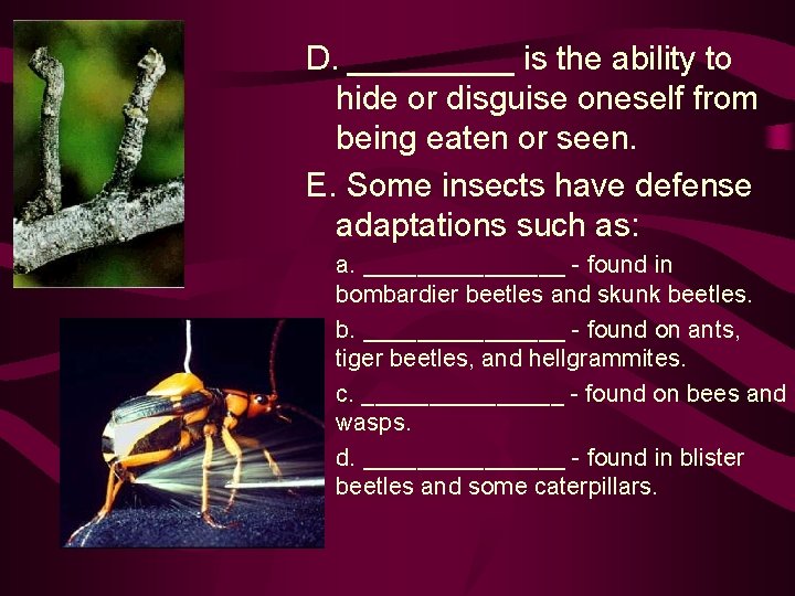 D. _____ is the ability to hide or disguise oneself from being eaten or