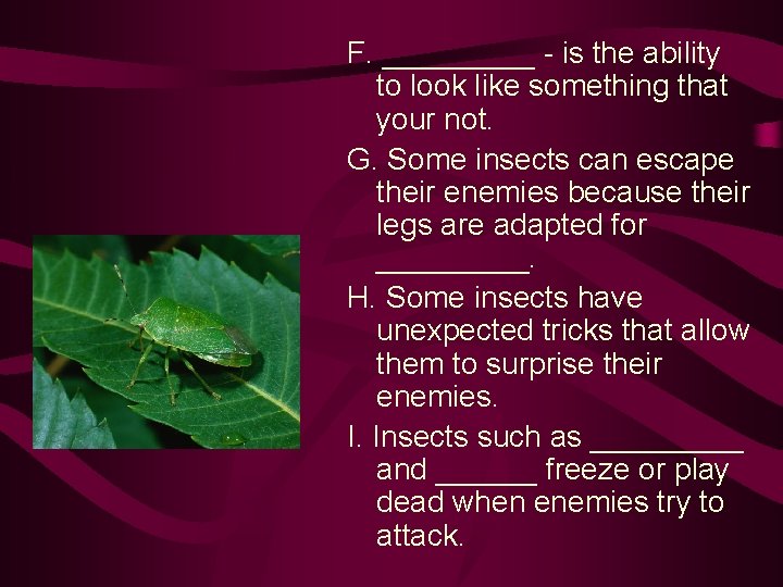 F. _____ - is the ability to look like something that your not. G.