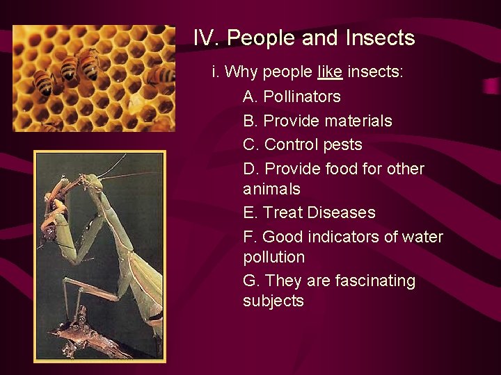 IV. People and Insects i. Why people like insects: A. Pollinators B. Provide materials